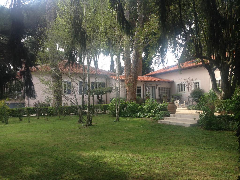Villa Abbamer Grottaferrata Kültér fotó
